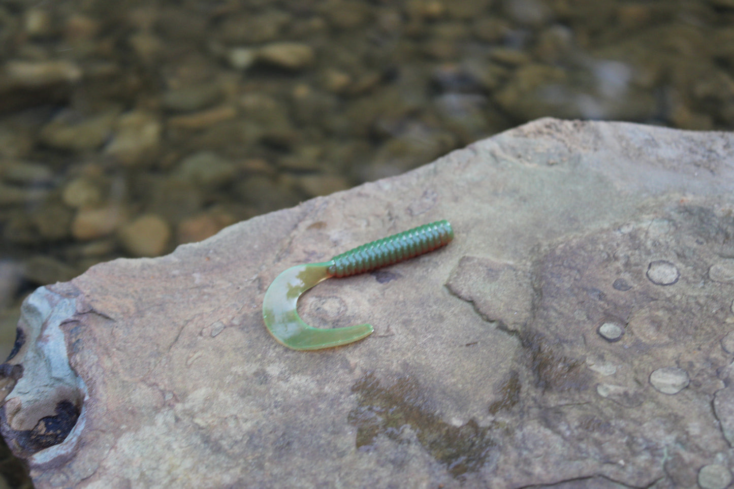 3" Grub (Pack of 10)