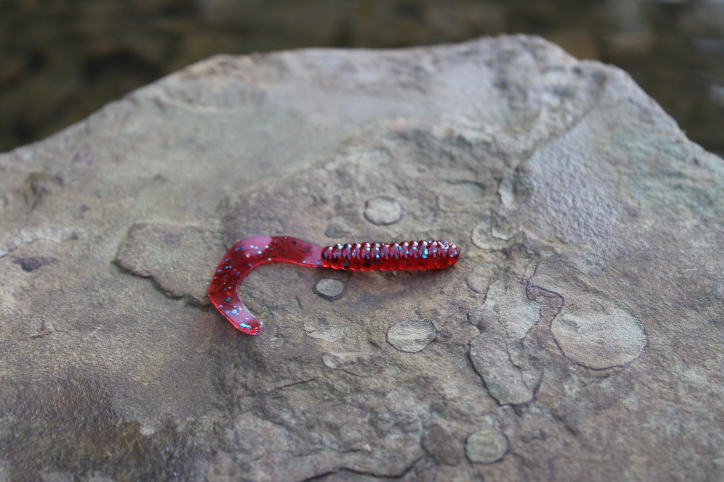 2" Grub (Pack of 10)