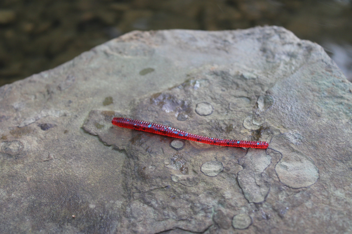 Trout Worm (Pack of 12)