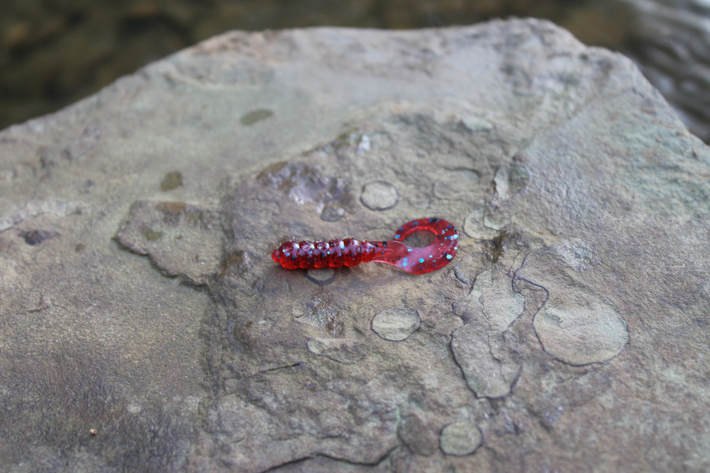 1" Grub (Pack of 10)