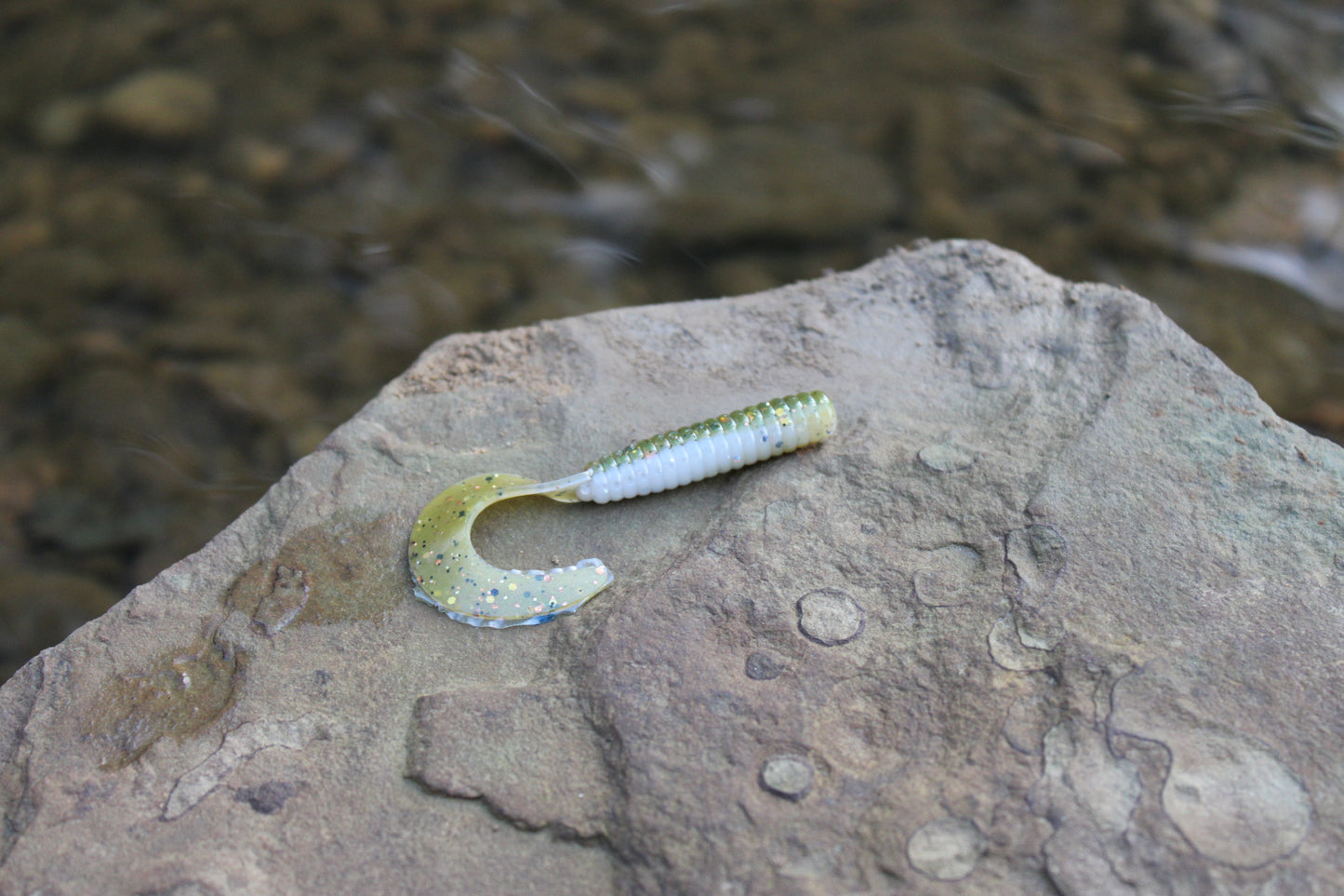 3" Grub (Pack of 10)