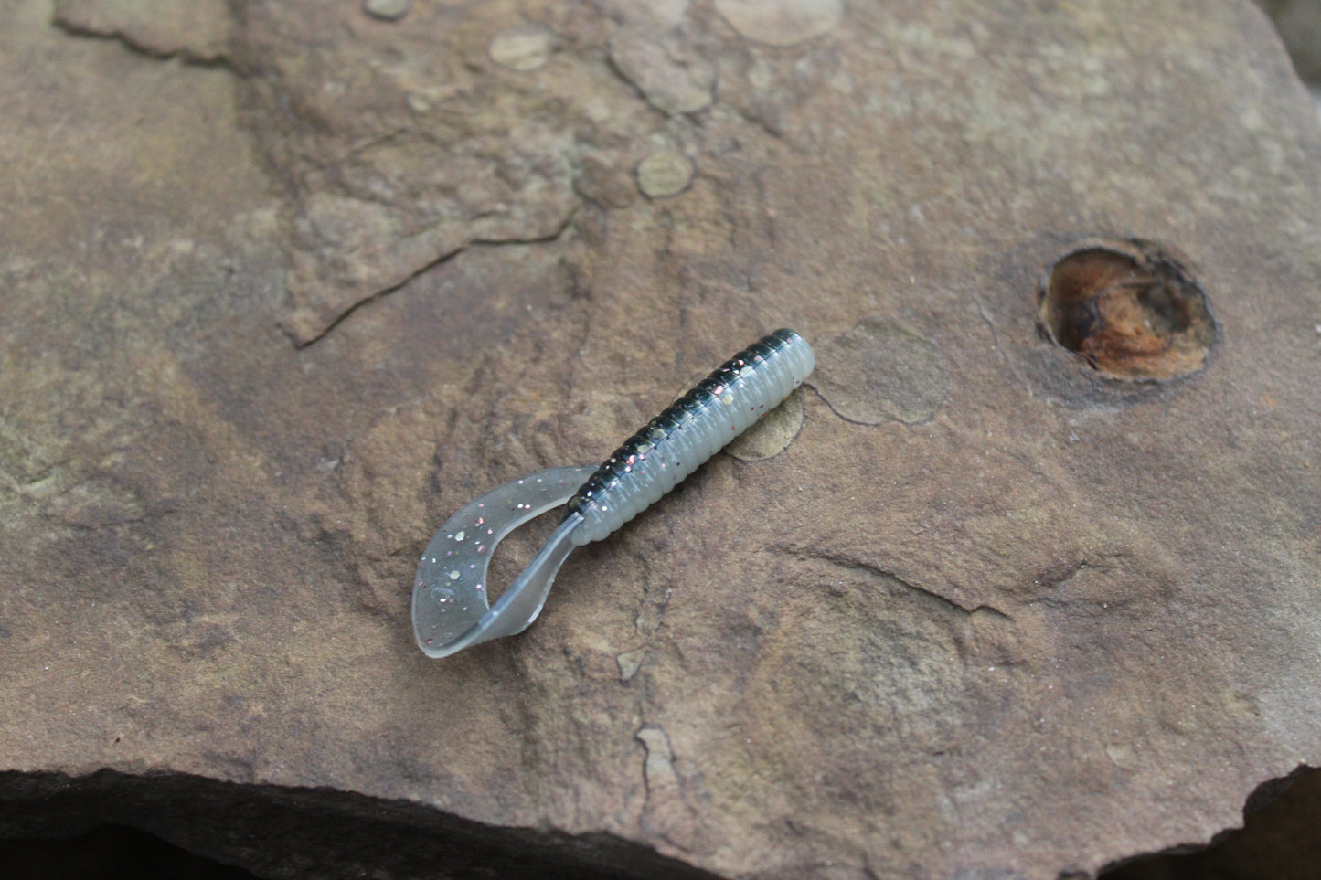 3" Grub (Pack of 10)