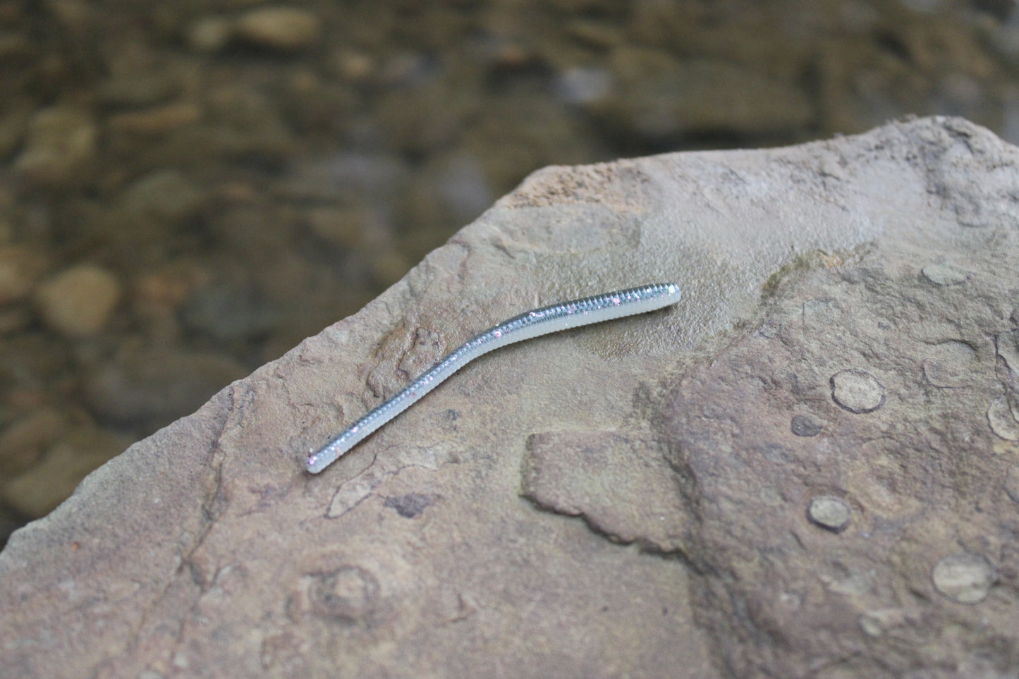 Trout Worm (Pack of 12)