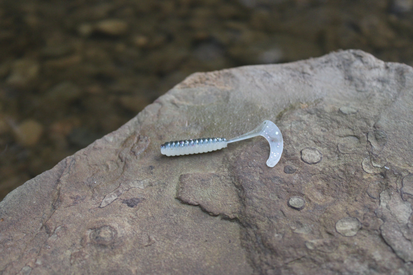 2" Grub (Pack of 10)