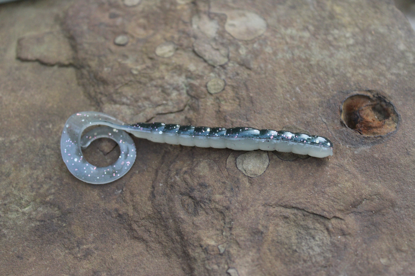 7.5" Legend Worm (Pack of 6)
