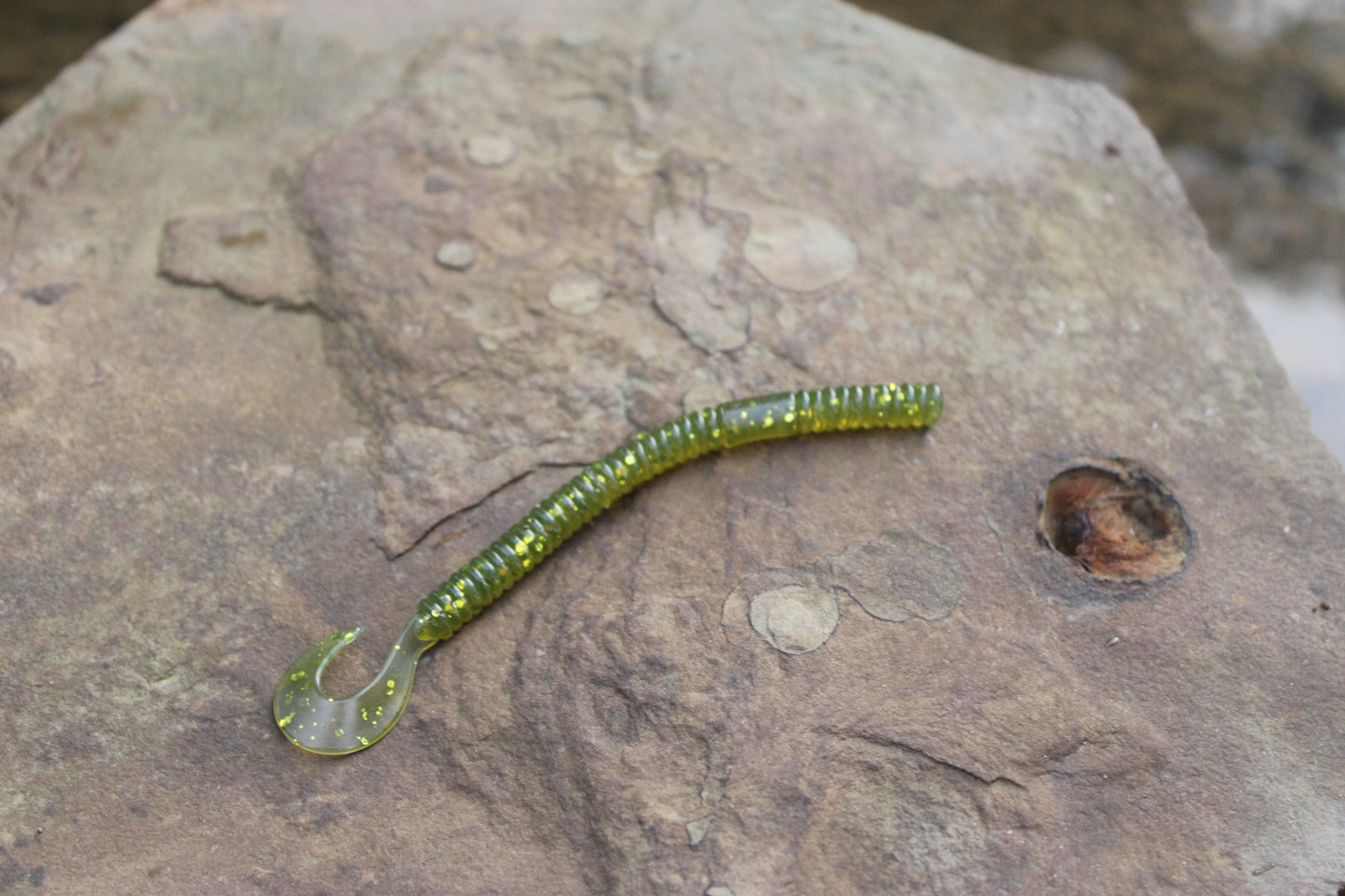 4.5" Curly Tail (Pack of 8)