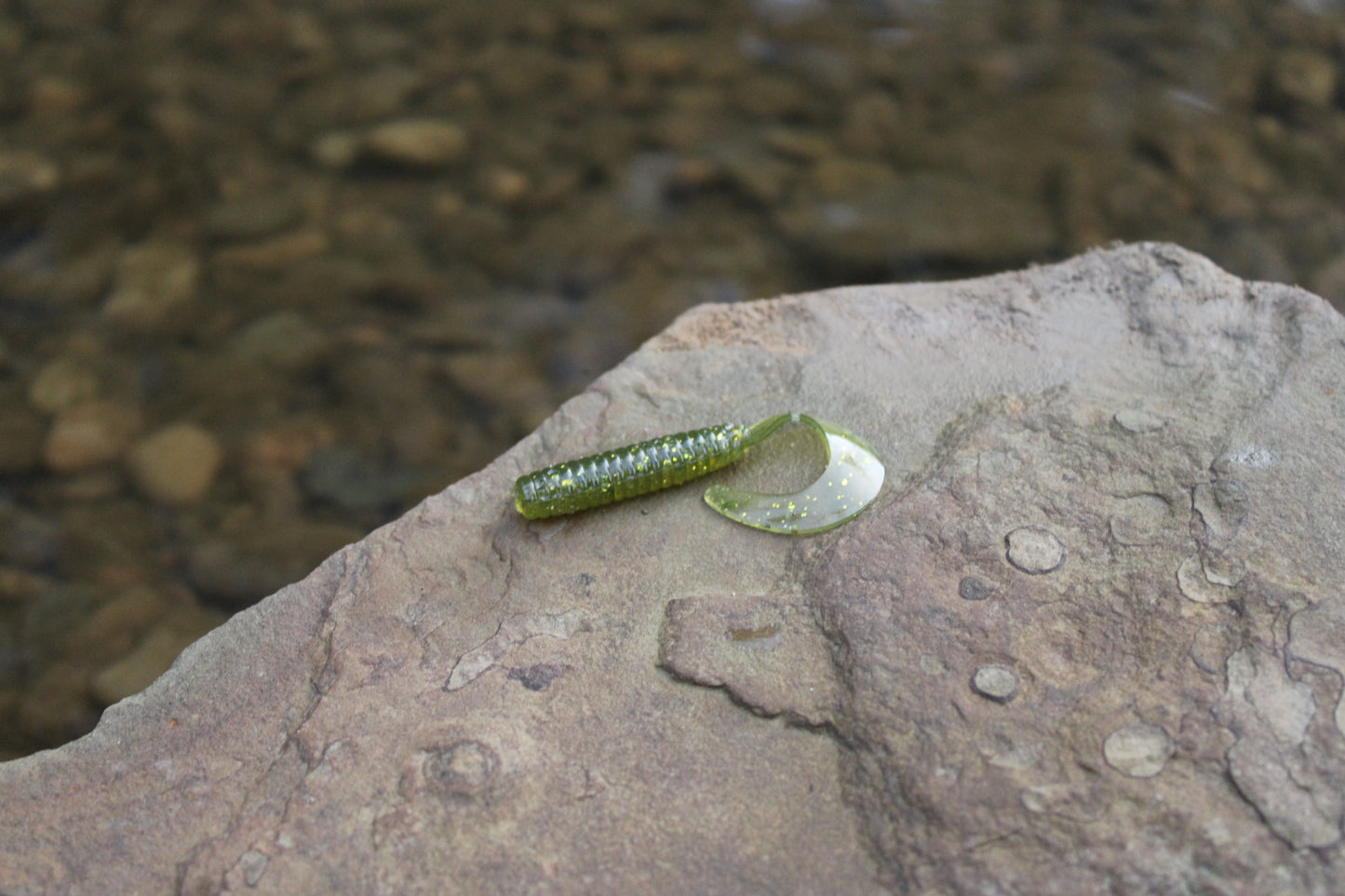 3" Grub (Pack of 10)