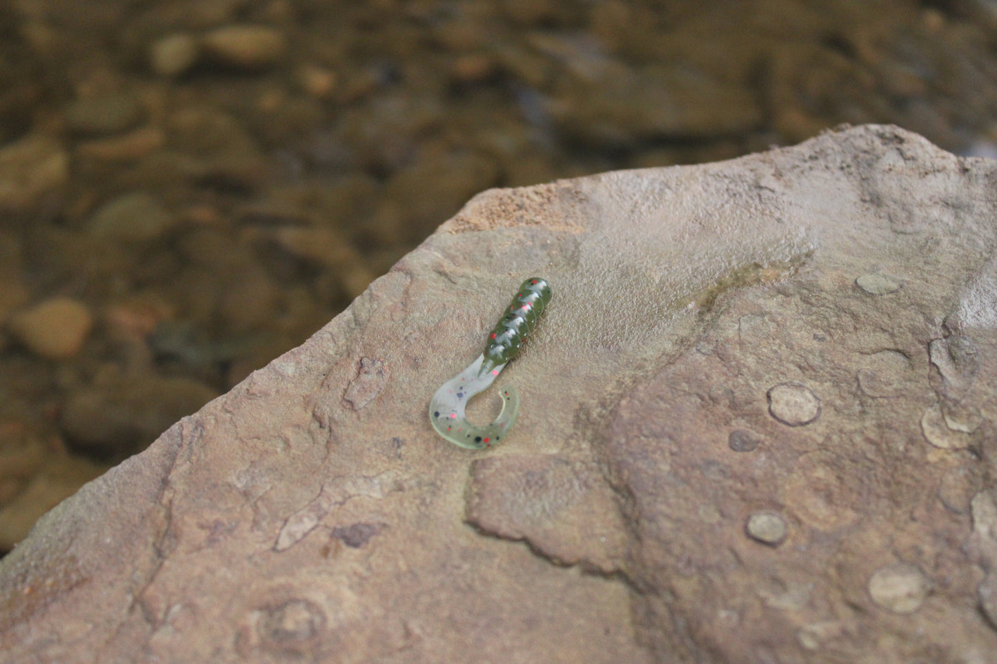1" Grub (Pack of 10)