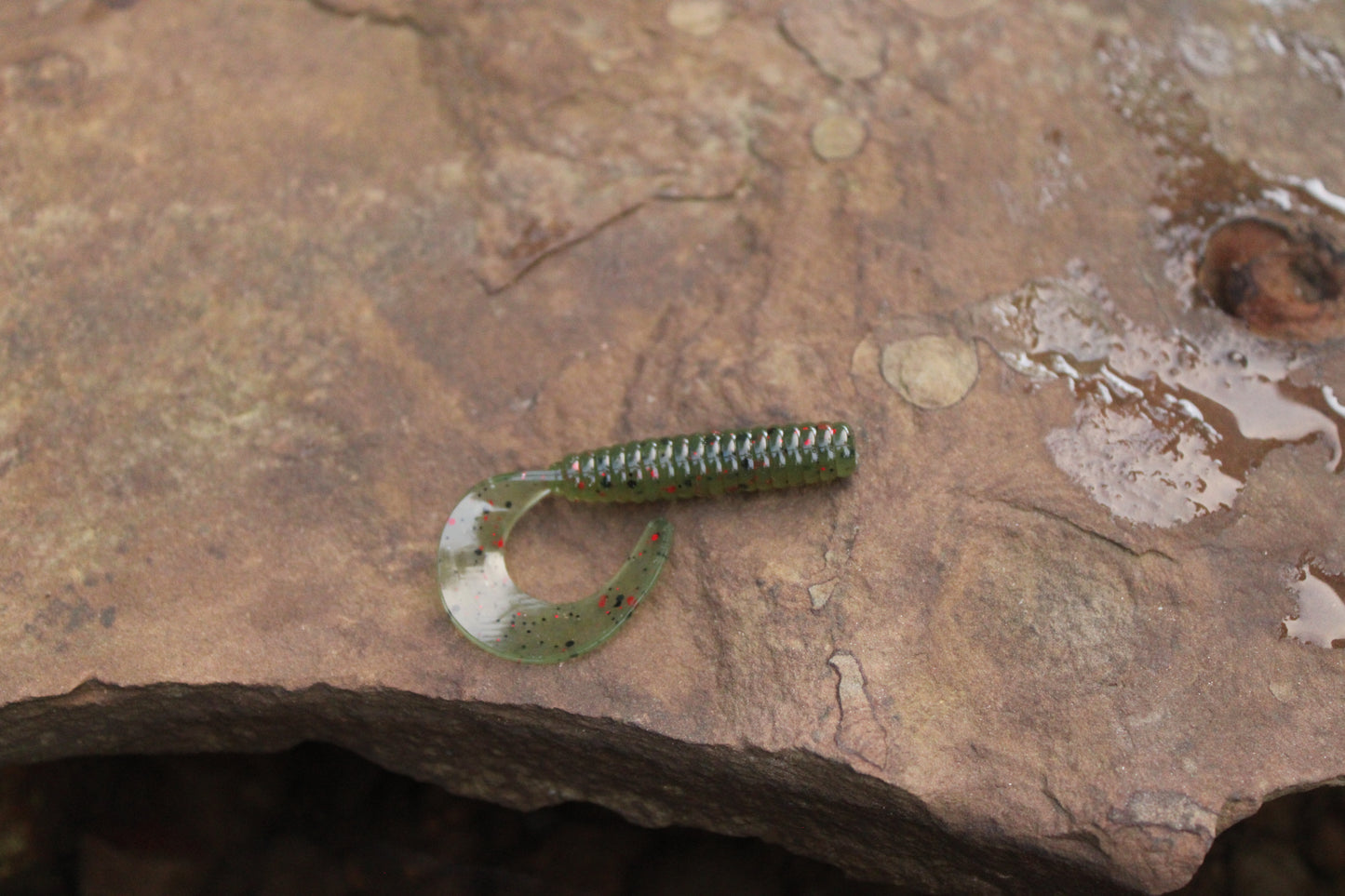 2" Grub (Pack of 10)