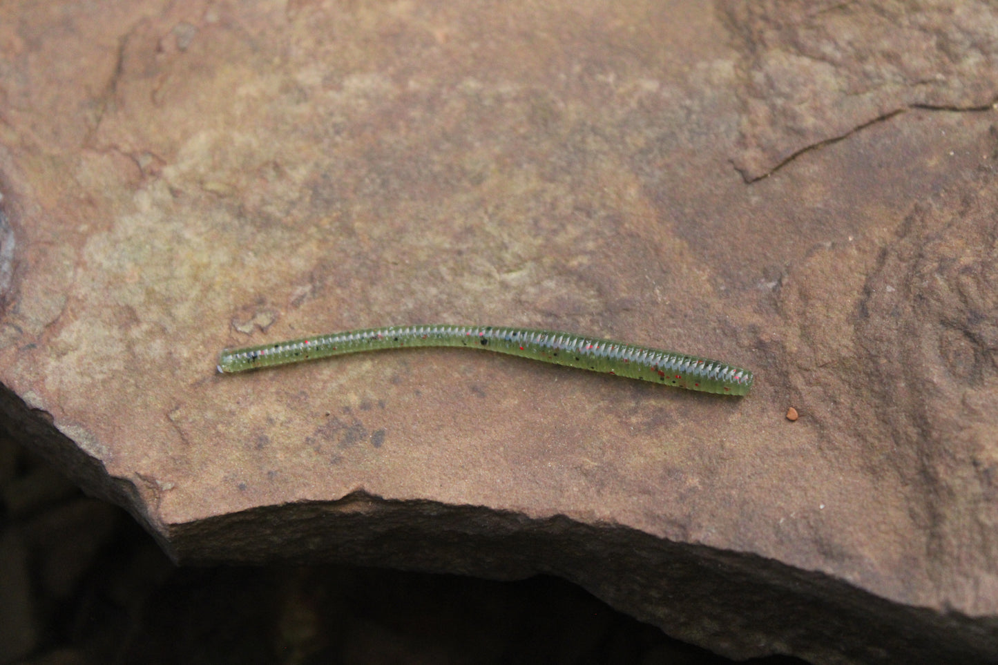 Trout Worm (Pack of 12)