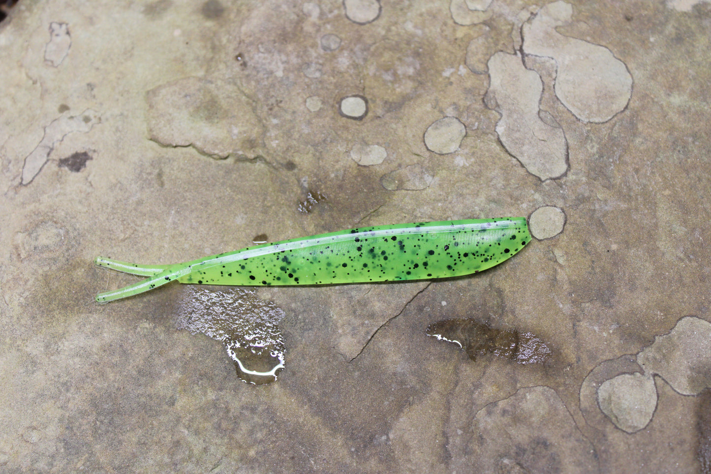 4" Fluke (Pack of 8)