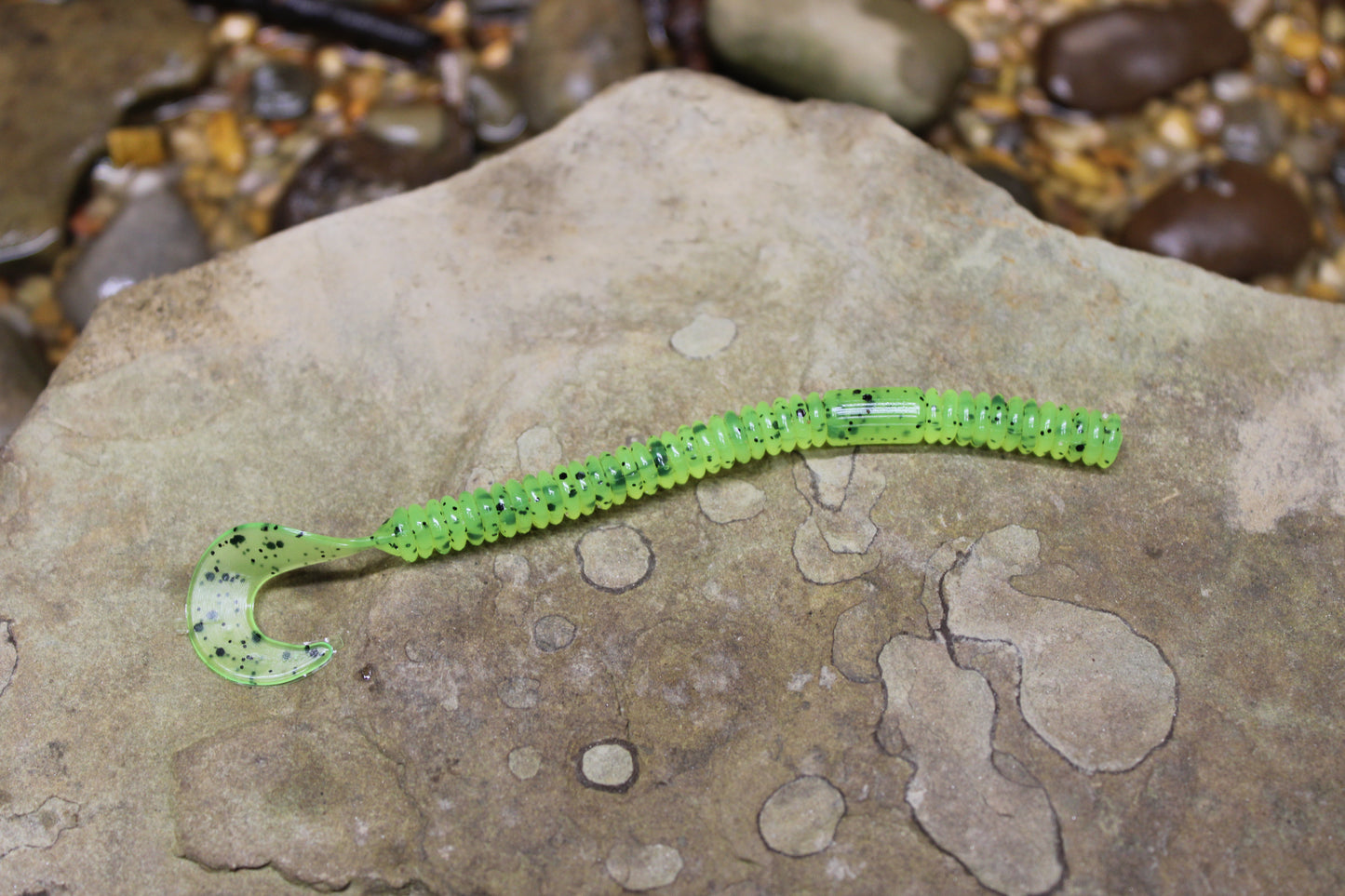 4.5" Curly Tail (Pack of 8)