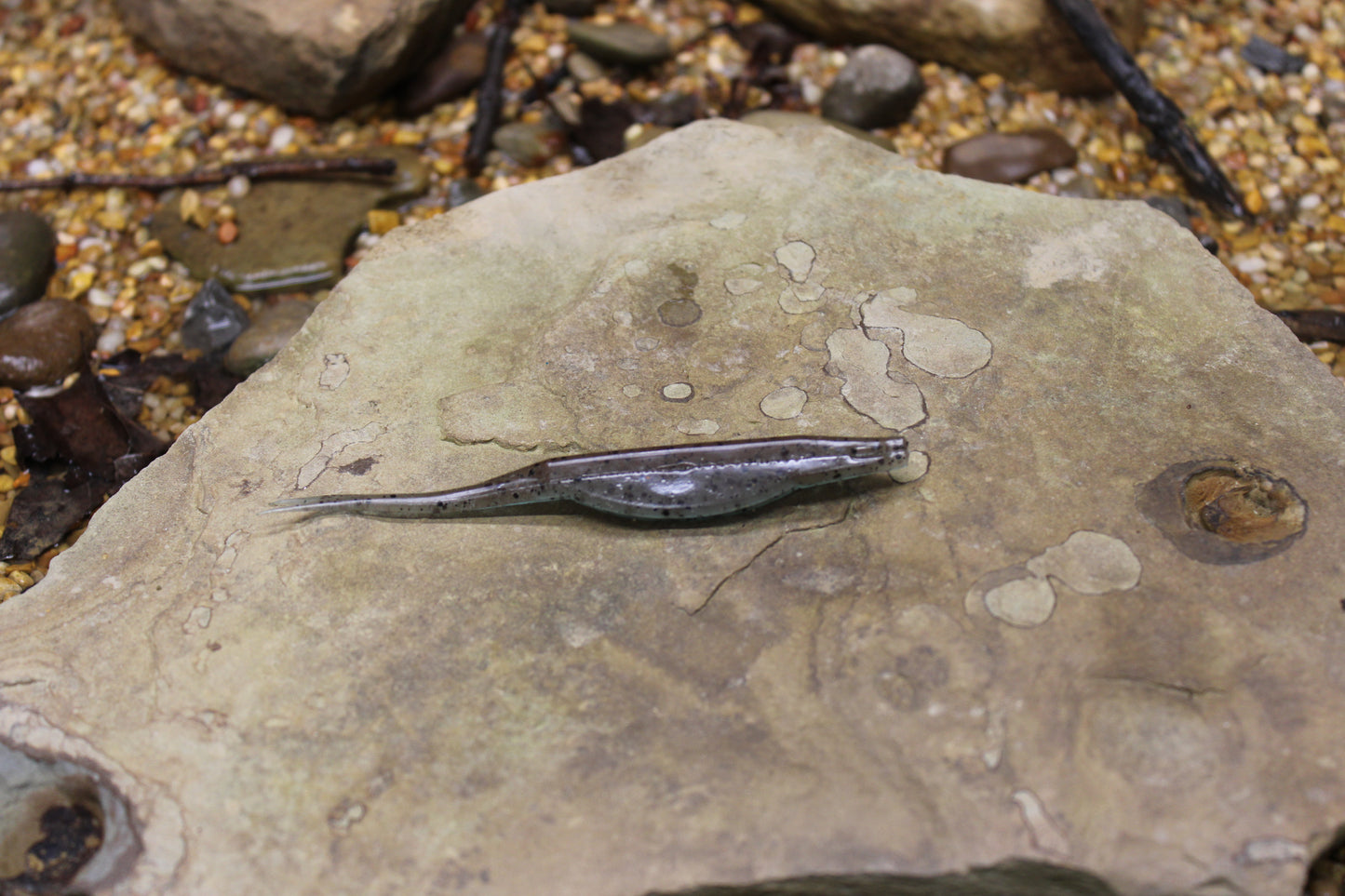5" Fluke (Pack of 5)