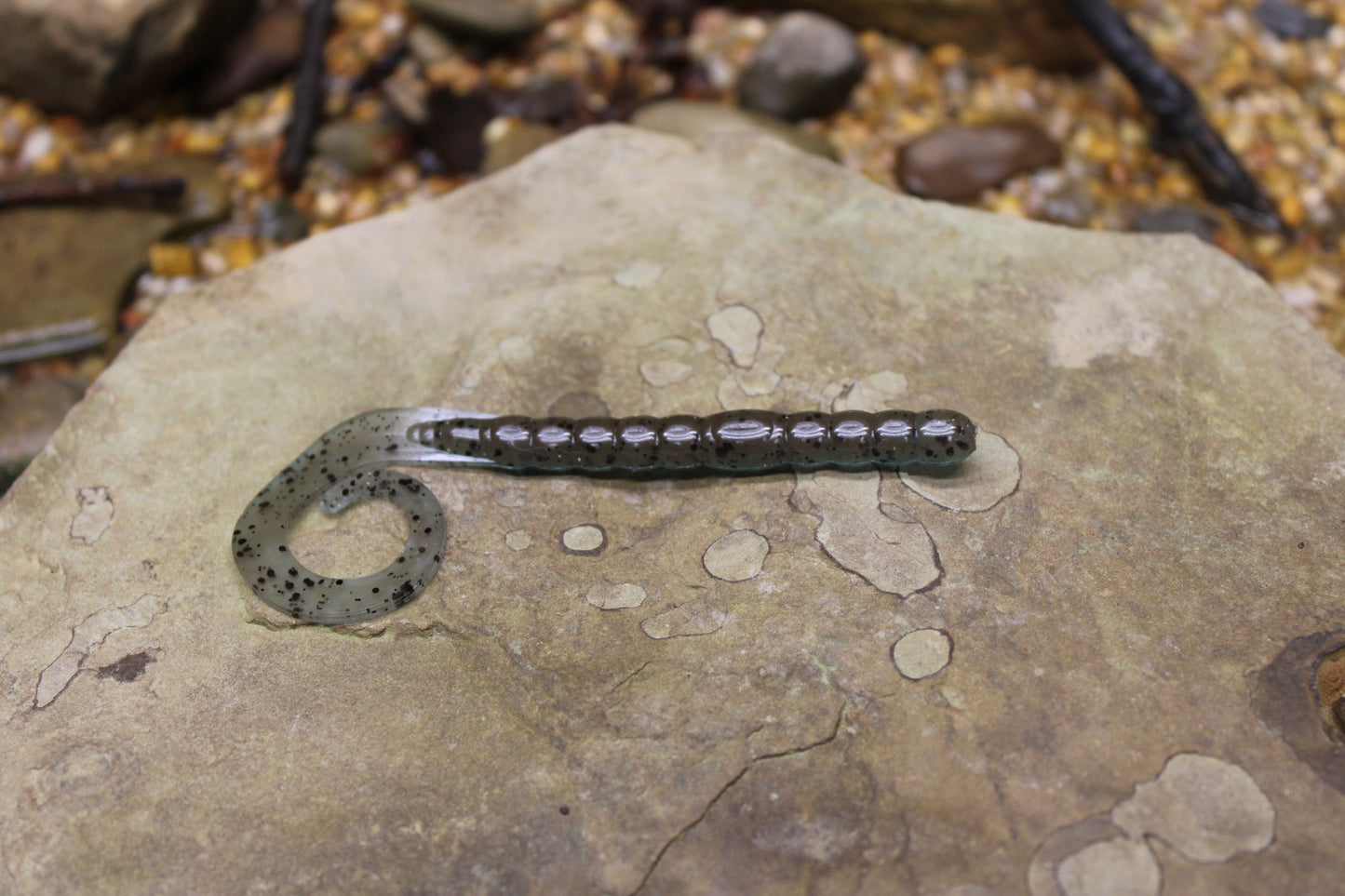 7.5" Legend Worm (Pack of 6)