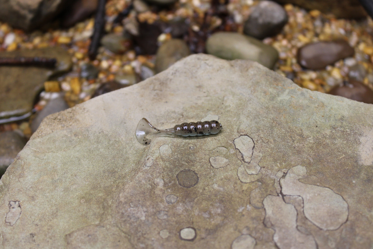 1" Grub (Pack of 10)