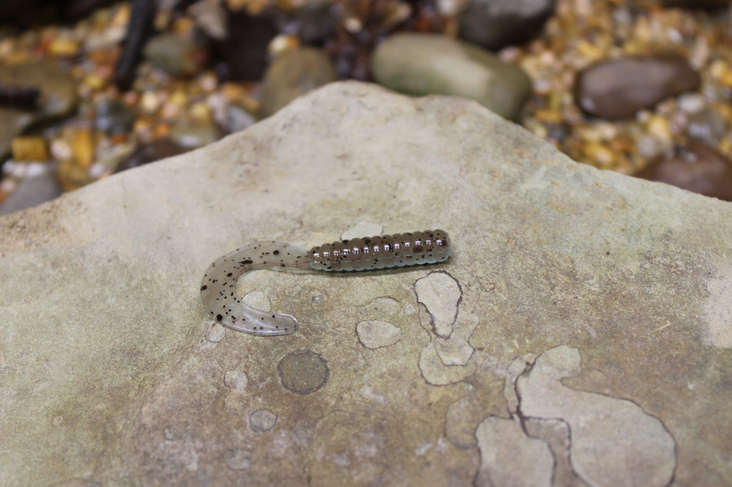 2" Grub (Pack of 10)