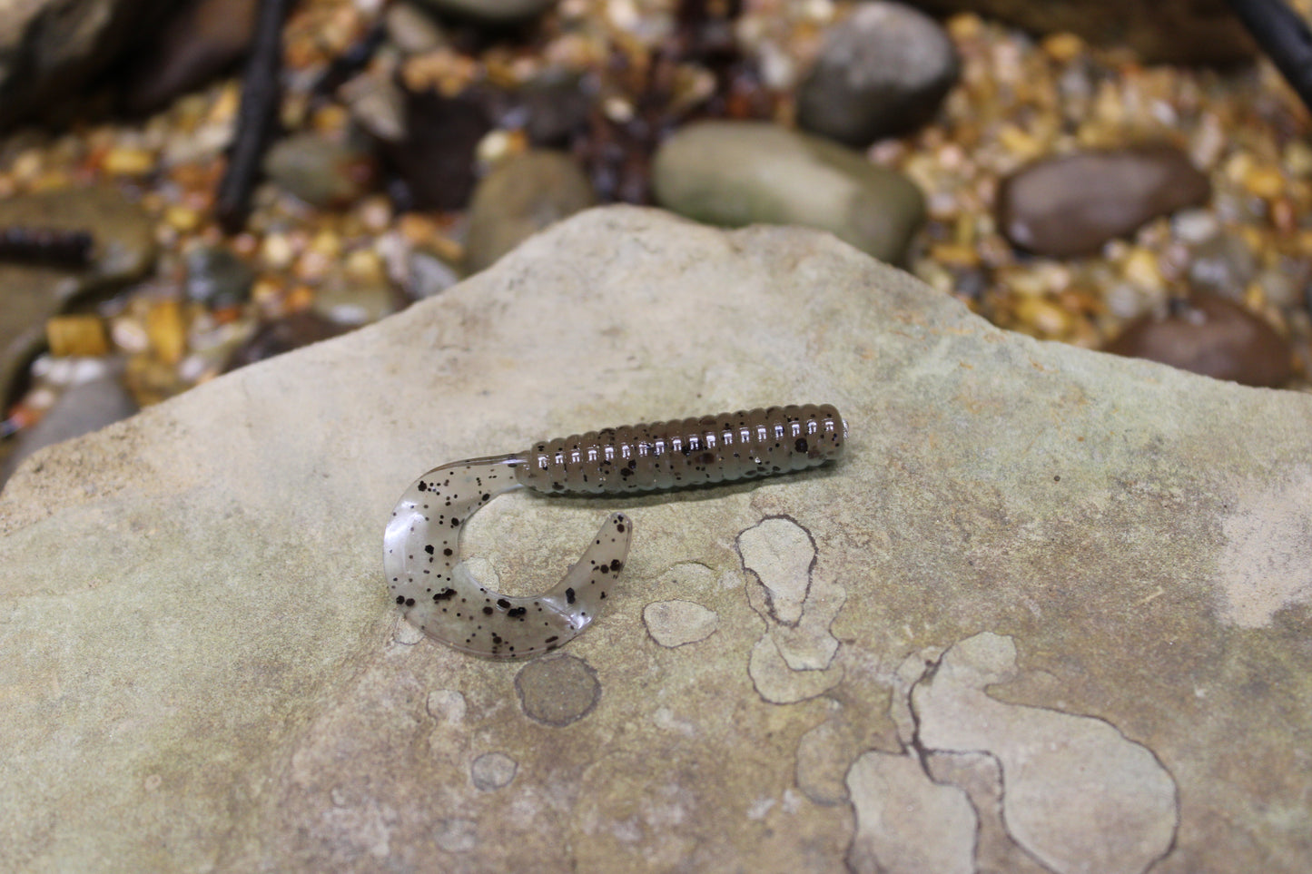 3" Grub (Pack of 10)