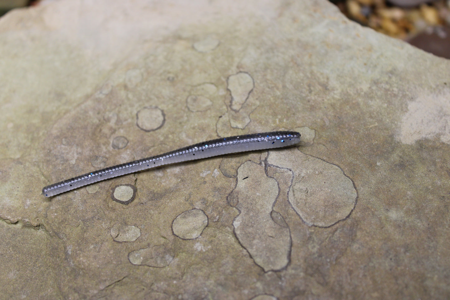 Trout Worm (Pack of 12)