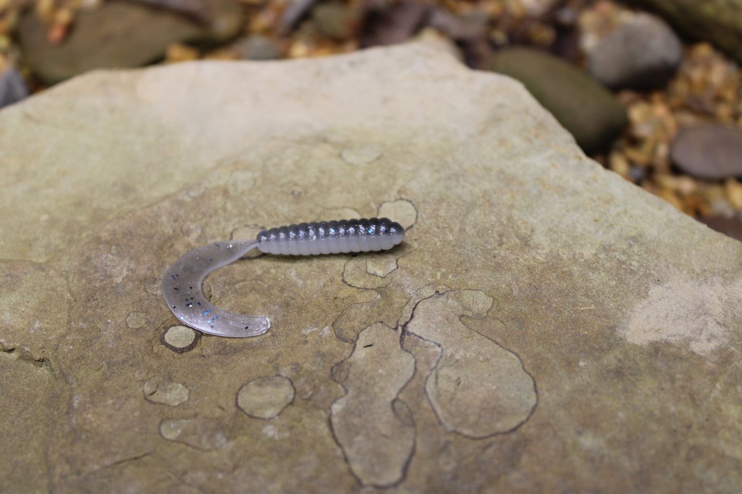 2" Grub (Pack of 10)