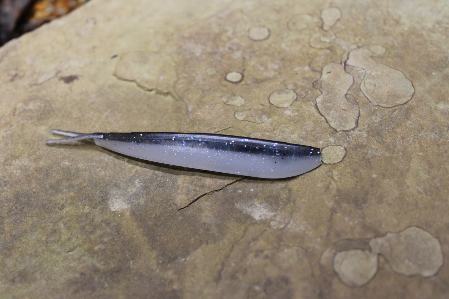 4" Fluke (Pack of 8)