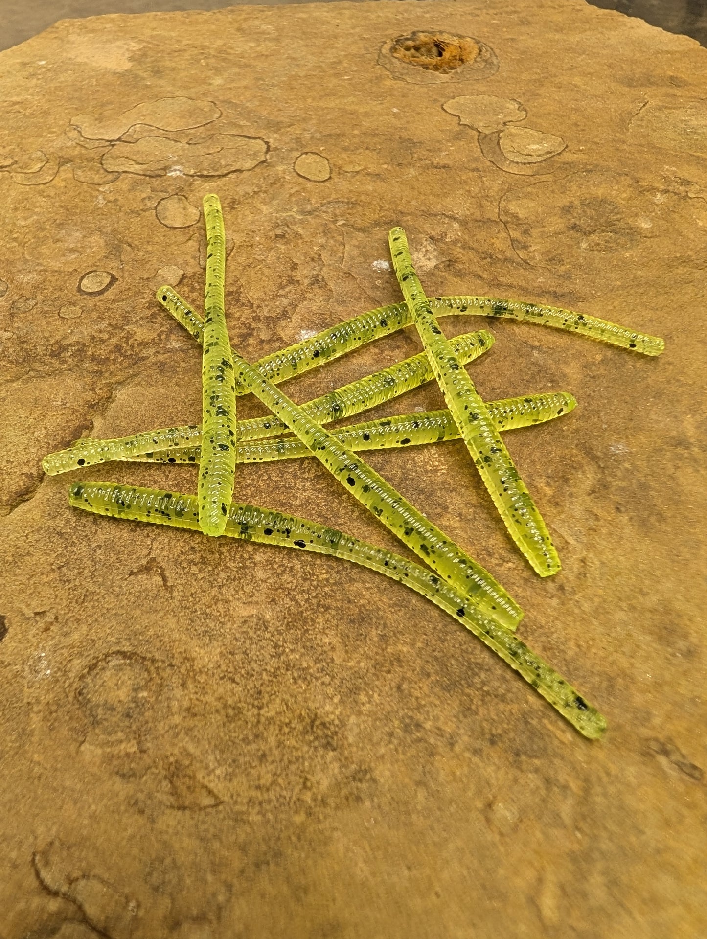 3" Trout Worm (Pack of 12)
