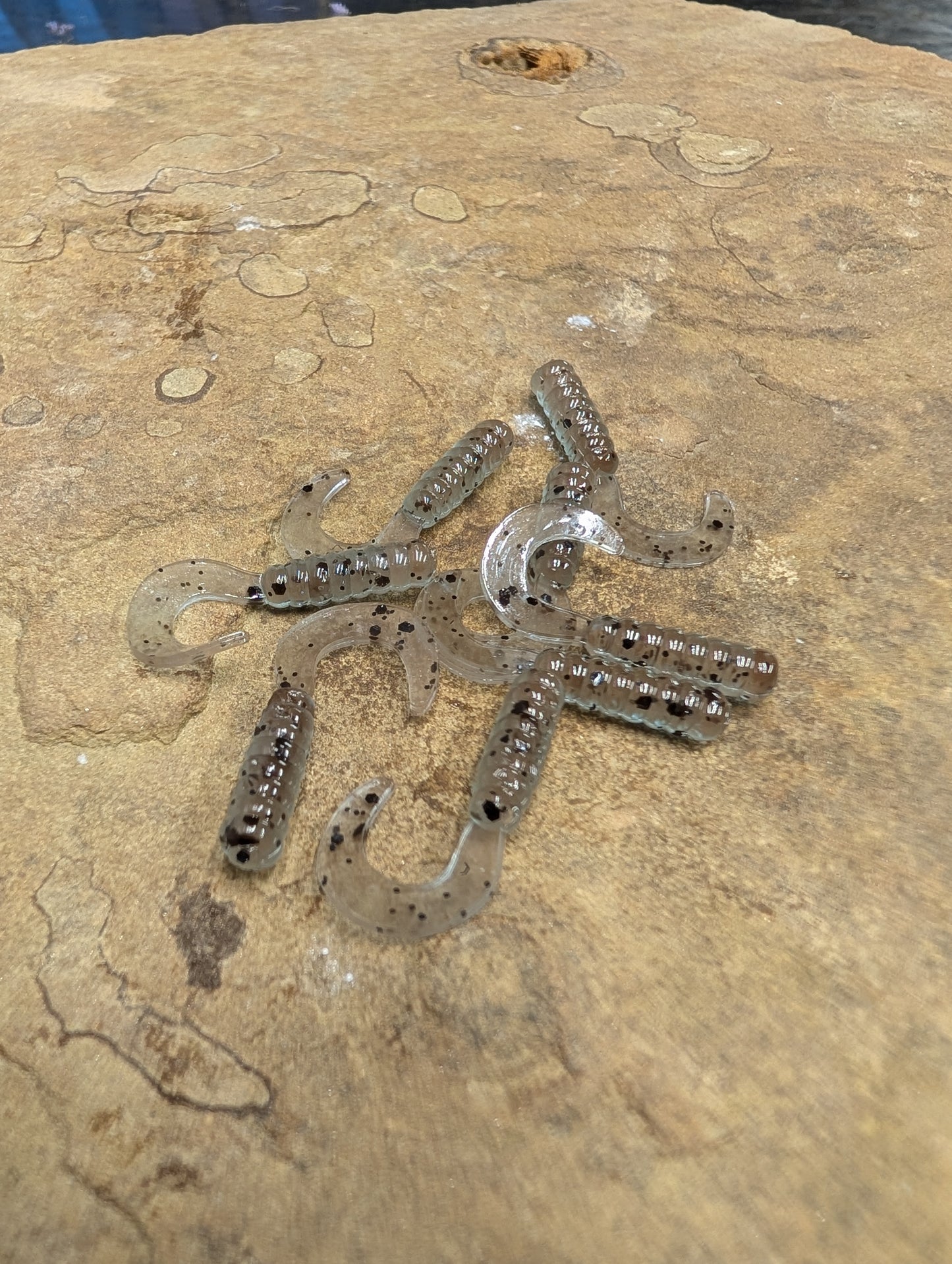 1" Grub (Pack of 15)