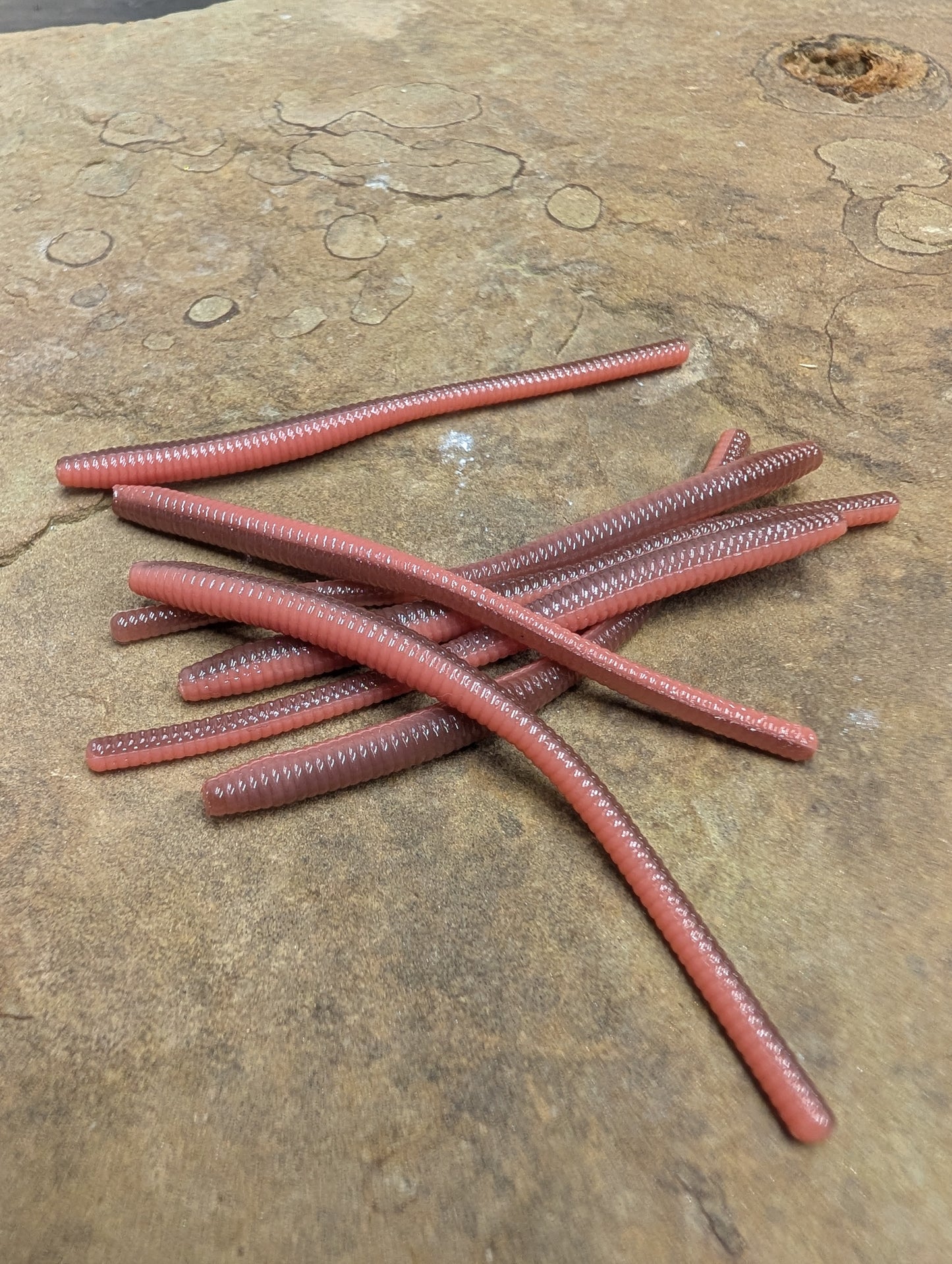 3" Trout Worm (Pack of 12)