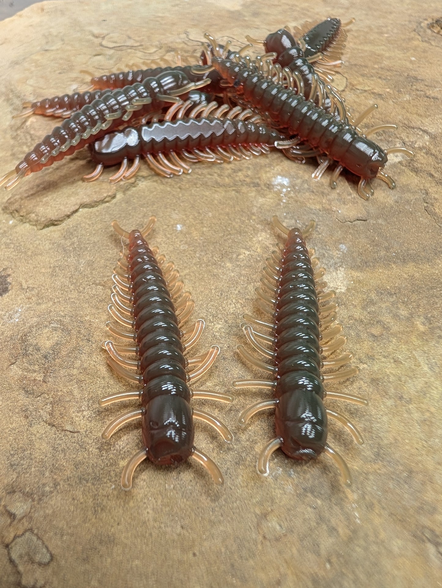 2" Hellgrammite (Pack of 10)