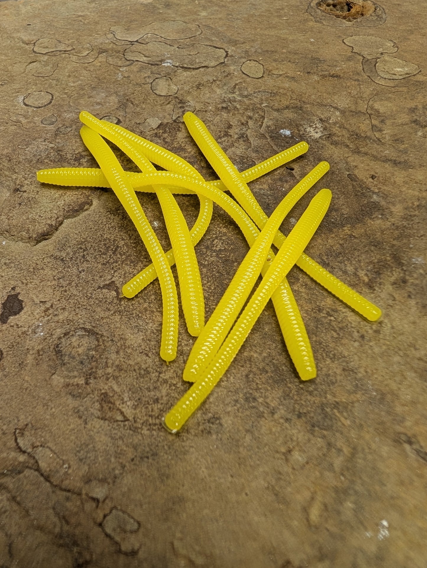 3" Trout Worm (Pack of 12)