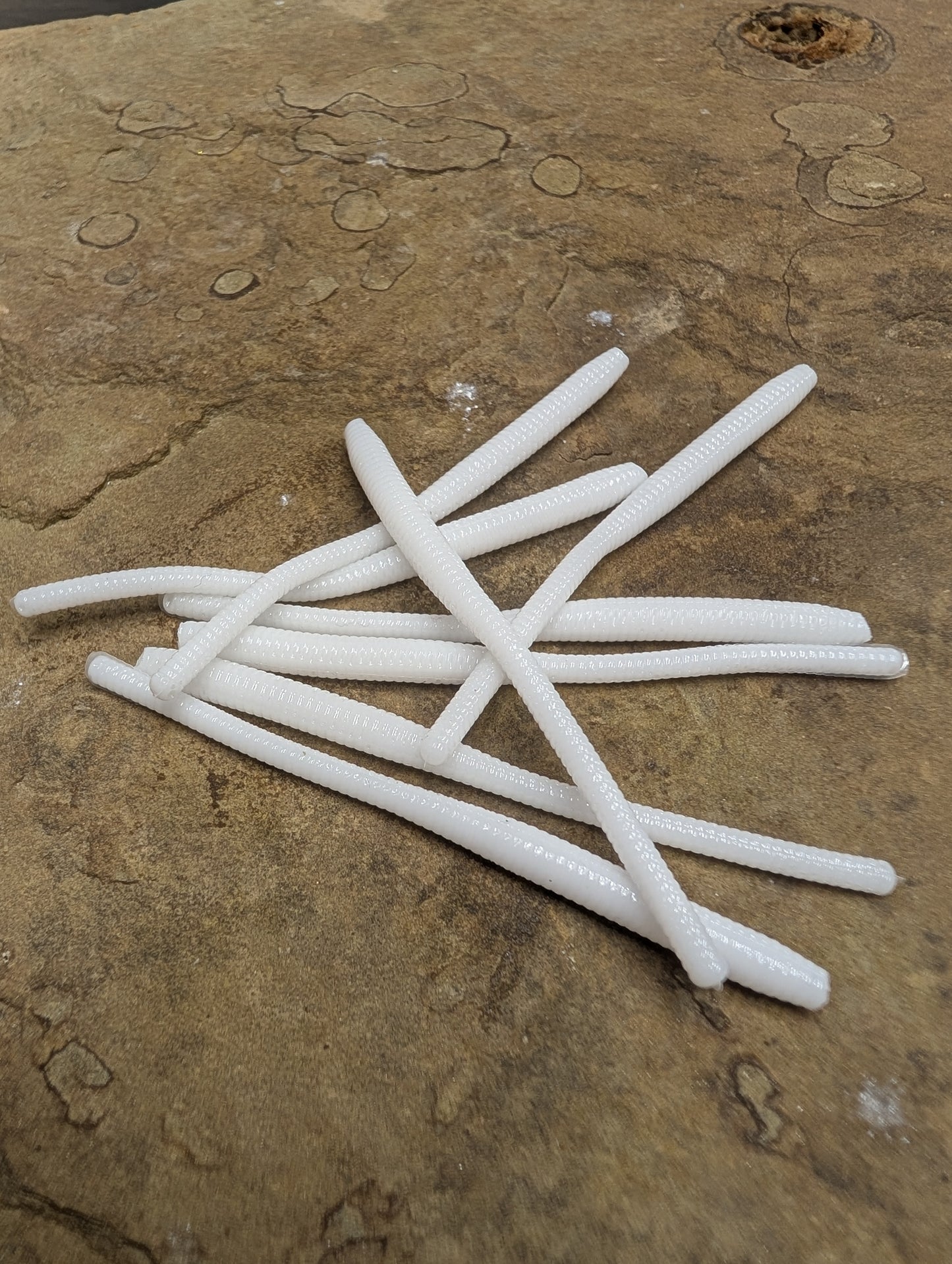 3" Trout Worm (Pack of 12)