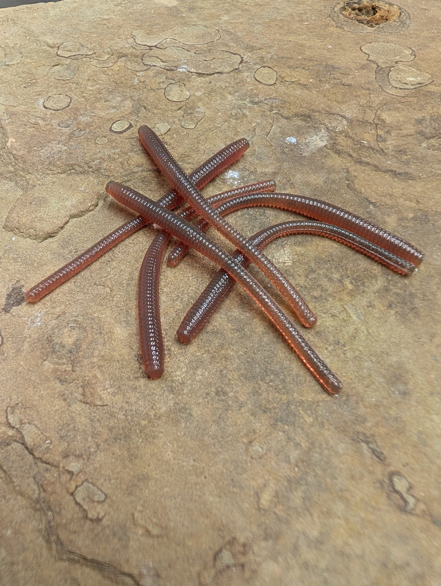3" Trout Worm (Pack of 12)