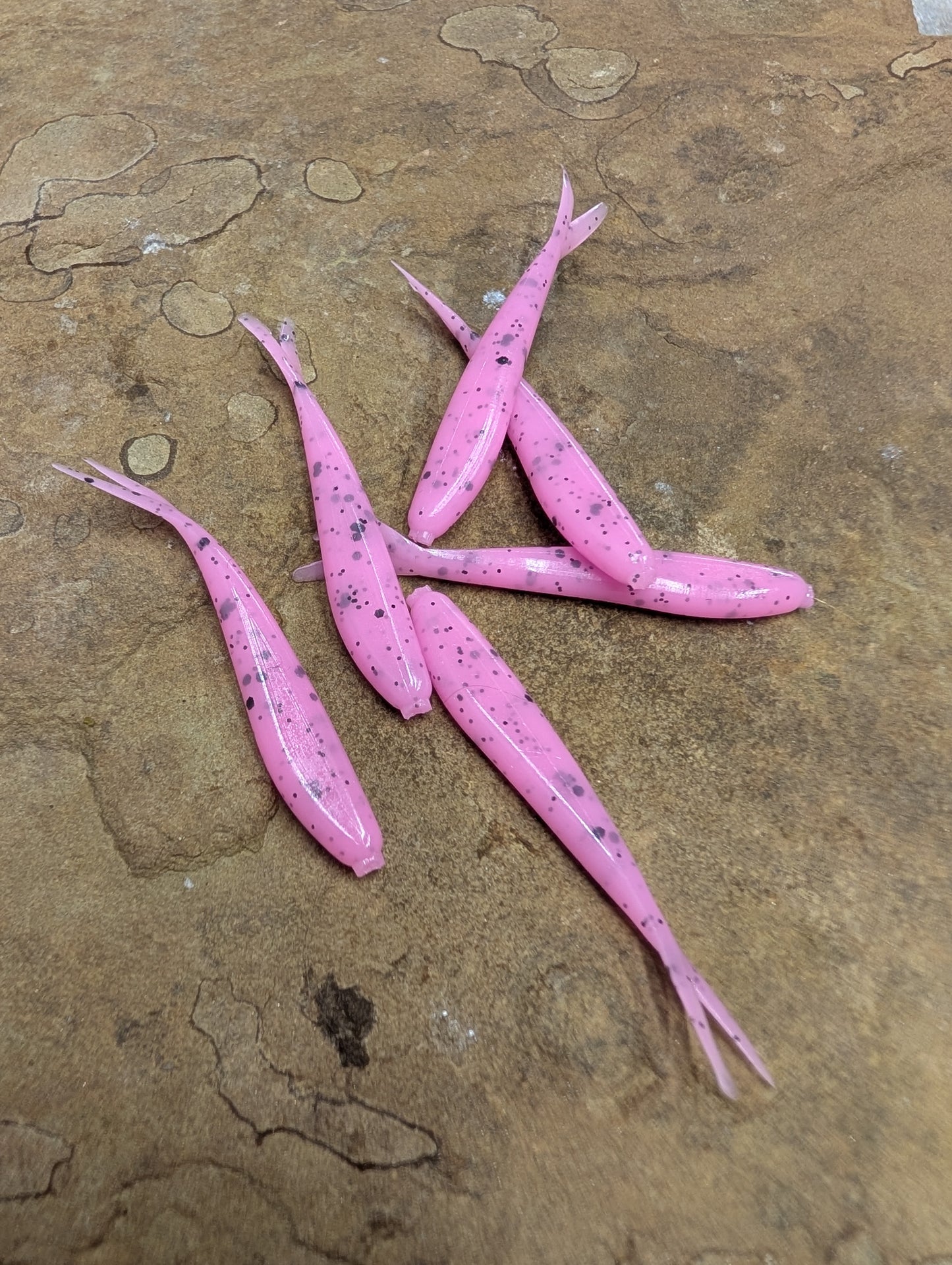 2" Fluke (Pack of 10)